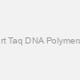 3G HotStart Taq DNA Polymerase (5u/ul)